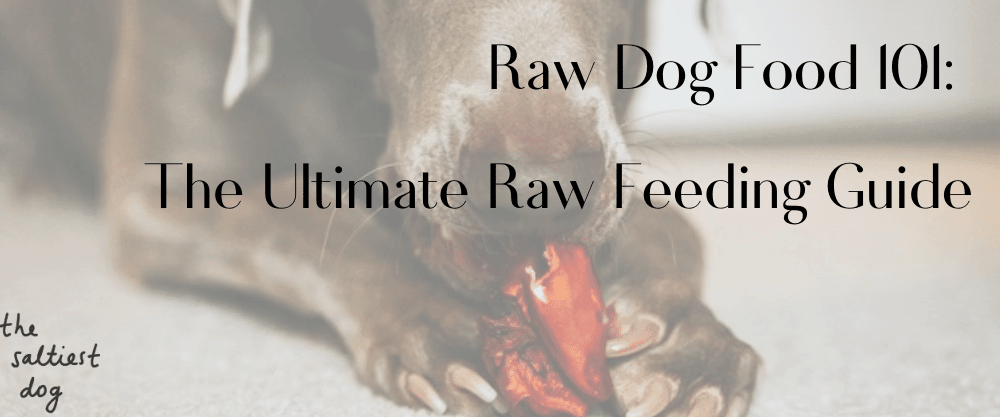 Raw Dog Food 101 The Ultimate Raw Feeding Guide The Saltiest Dog