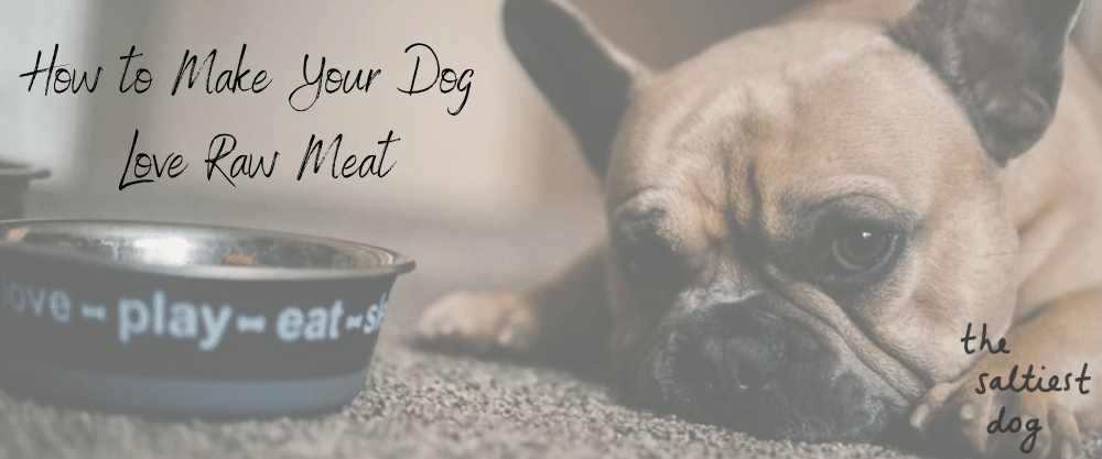 Raw Diet For Dogs: How to Make Your Dog Love Raw Meat - The Saltiest Dog 