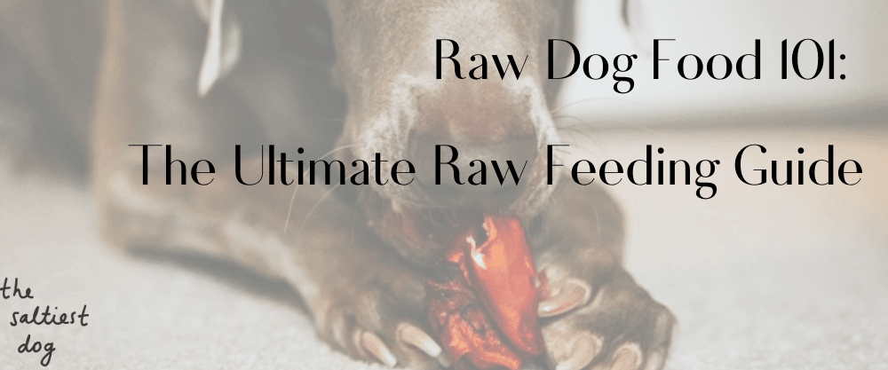 Raw Dog Food 101: The Ultimate Raw Feeding Guide - The Saltiest Dog 