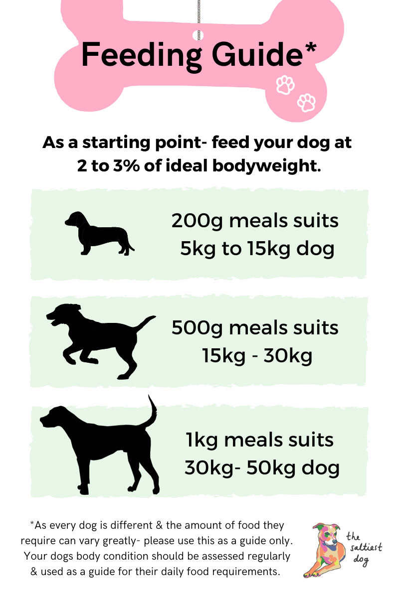 Raw Dog Food Melbourne | Pet Food Online – The Saltiest Dog