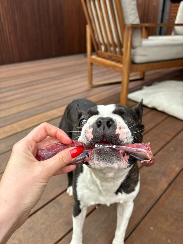 Meaty Kangaroo Ribs