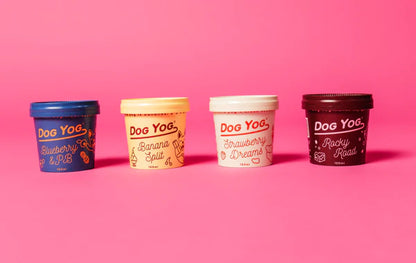 Dog Yog Cultured Ice Cream for Dogs