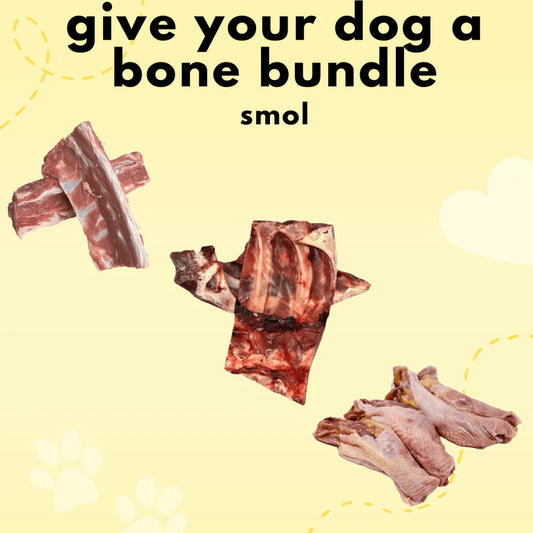 Give Your Dog A Bone (Small)