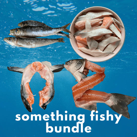 Something Fishy Bundle