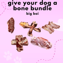 Give Your Dog A Bone (Big Boi)