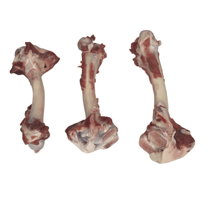 Lamb Leg Bones