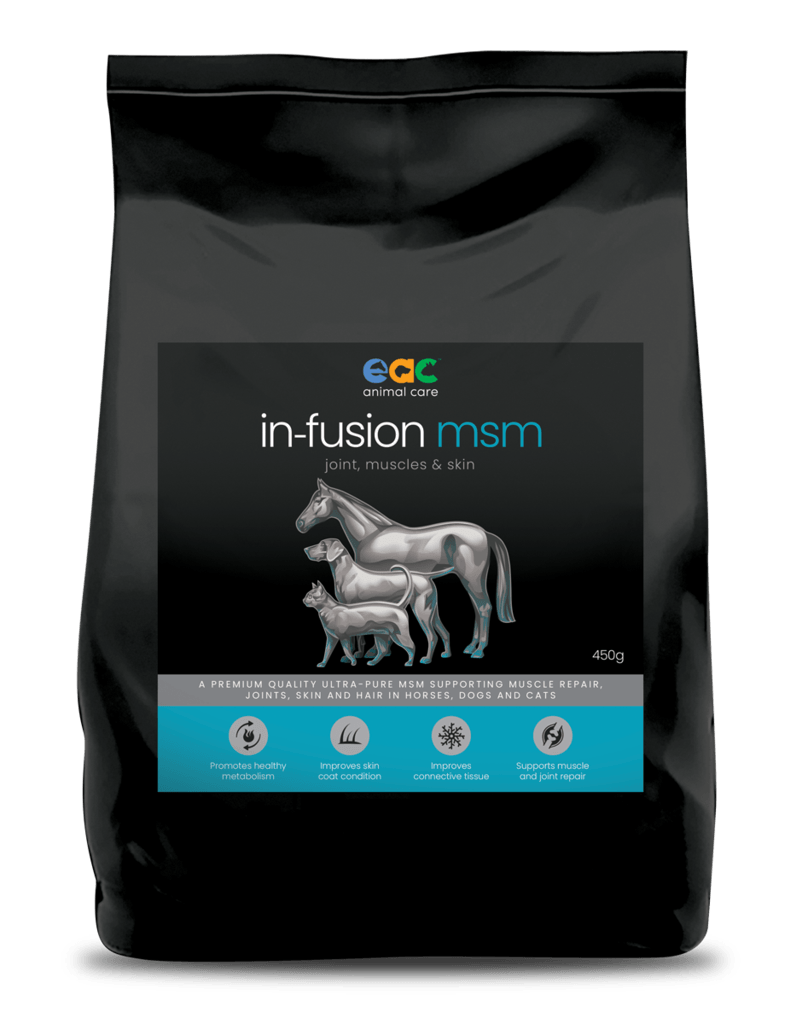 In-Fusion MSM - Ultra Pure Joint Supplement For Horses, Dogs & Cats