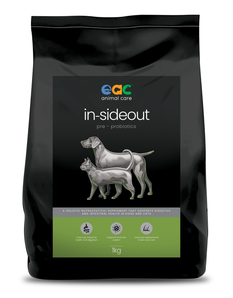 Inside Out Probiotic - The Saltiest Dog 