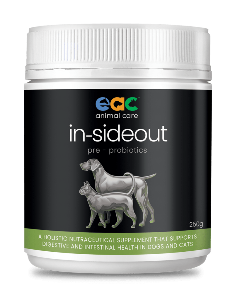 Inside Out Probiotic - The Saltiest Dog 